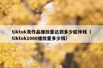 tiktok发作品播放量达到多少能挣钱（tiktok1000播放量多少钱）