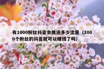 有1000粉丝抖音会推送多少流量（1000个粉丝的抖音就可以赚钱了吗）