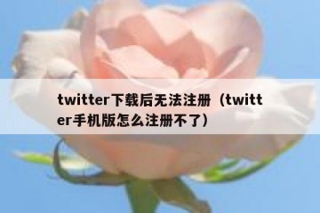 twitter下载后无法注册（twitter手机版怎么注册不了）