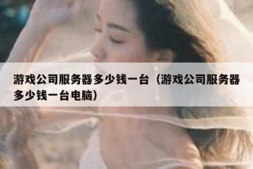 游戏公司服务器多少钱一台（游戏公司服务器多少钱一台电脑）