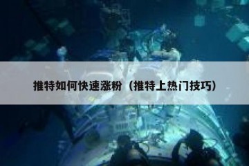 推特如何快速涨粉（推特上热门技巧）