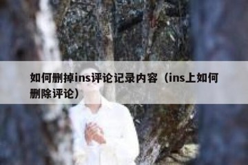 如何删掉ins评论记录内容（ins上如何删除评论）