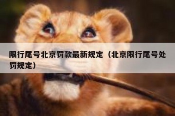 限行尾号北京罚款最新规定（北京限行尾号处罚规定）