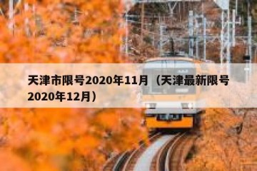 天津市限号2020年11月（天津最新限号2020年12月）