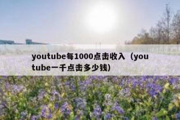 youtube每1000点击收入（youtube一千点击多少钱）