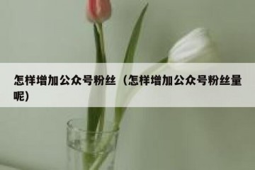 怎样增加公众号粉丝（怎样增加公众号粉丝量呢）