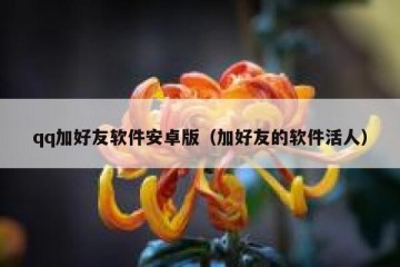 qq加好友软件安卓版（加好友的软件活人）