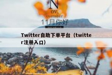 Twitter自助下单平台（twitter注册入口）