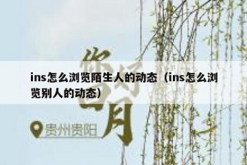 ins怎么浏览陌生人的动态（ins怎么浏览别人的动态）