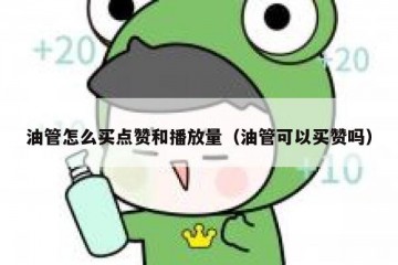油管怎么买点赞和播放量（油管可以买赞吗）