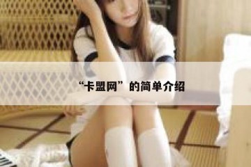“卡盟网”的简单介绍