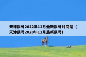 天津限号2022年11月最新限号时间是（天津限号2020年11月最新限号）