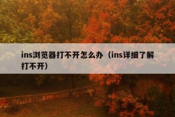 ins浏览器打不开怎么办（ins详细了解打不开）