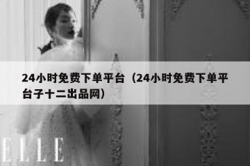 24小时免费下单平台（24小时免费下单平台子十二出品网）