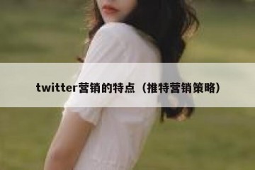 twitter营销的特点（推特营销策略）