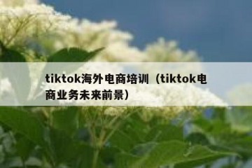 tiktok海外电商培训（tiktok电商业务未来前景）