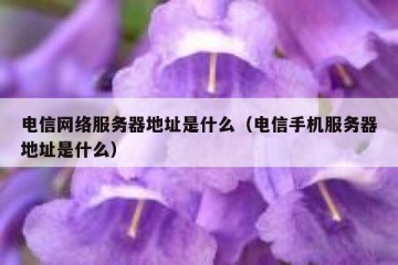 电信网络服务器地址是什么（电信手机服务器地址是什么）