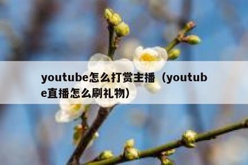 youtube怎么打赏主播（youtube直播怎么刷礼物）