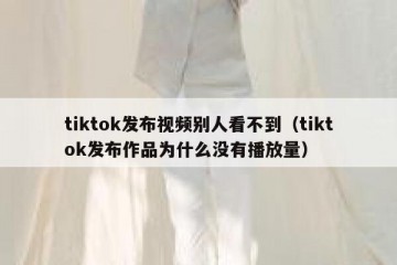 tiktok发布视频别人看不到（tiktok发布作品为什么没有播放量）