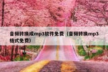 音频转换成mp3软件免费（音频转换mp3格式免费）
