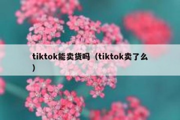 tiktok能卖货吗（tiktok卖了么）