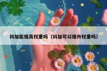 抖加能提高权重吗（抖加可以提升权重吗）