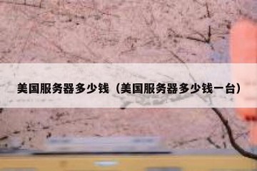 美国服务器多少钱（美国服务器多少钱一台）