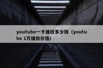 youtube一千播放多少钱（youtube 1万播放价值）