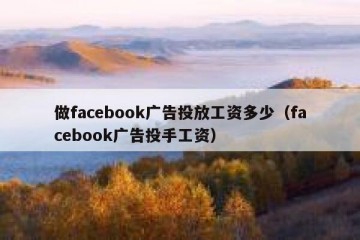 做facebook广告投放工资多少（facebook广告投手工资）