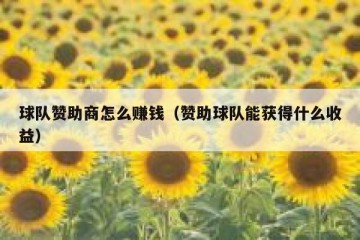 球队赞助商怎么赚钱（赞助球队能获得什么收益）
