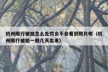 杭州限行被拍怎么处罚会不会看到照片呢（杭州限行被拍一般几天出来）
