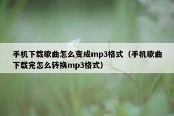 手机下载歌曲怎么变成mp3格式（手机歌曲下载完怎么转换mp3格式）