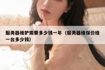 服务器维护需要多少钱一年（服务器维保价格一台多少钱）