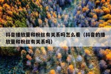 抖音播放量和粉丝有关系吗怎么看（抖音的播放量和粉丝有关系吗）