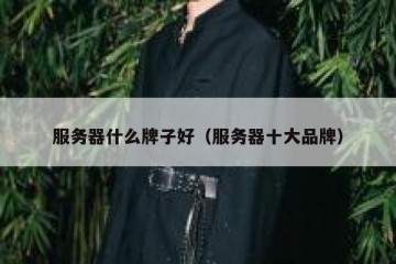 服务器什么牌子好（服务器十大品牌）