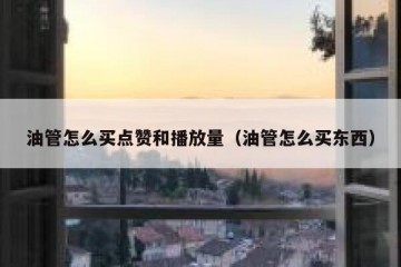 油管怎么买点赞和播放量（油管怎么买东西）
