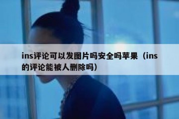 ins评论可以发图片吗安全吗苹果（ins的评论能被人删除吗）