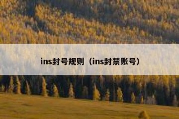 ins封号规则（ins封禁账号）