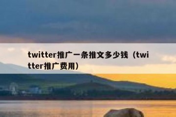 twitter推广一条推文多少钱（twitter推广费用）