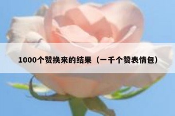 1000个赞换来的结果（一千个赞表情包）