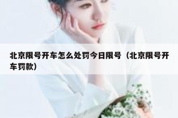 北京限号开车怎么处罚今日限号（北京限号开车罚款）