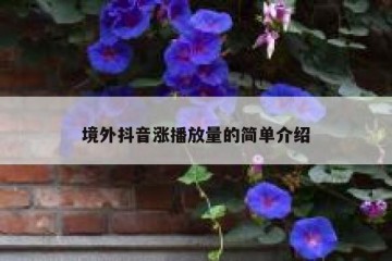 境外抖音涨播放量的简单介绍
