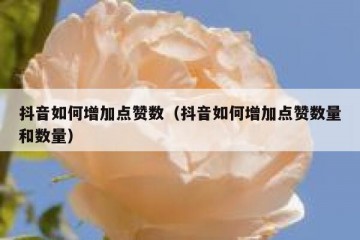 抖音如何增加点赞数（抖音如何增加点赞数量和数量）