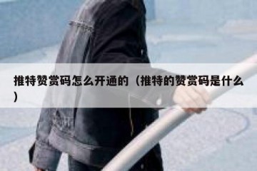 推特赞赏码怎么开通的（推特的赞赏码是什么）