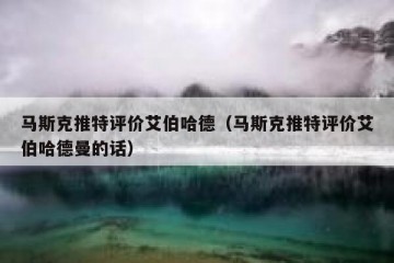 马斯克推特评价艾伯哈德（马斯克推特评价艾伯哈德曼的话）