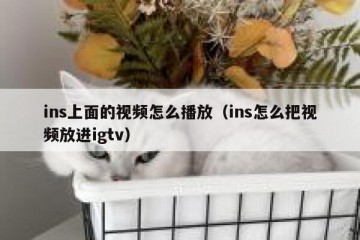 ins上面的视频怎么播放（ins怎么把视频放进igtv）