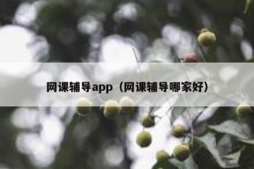 网课辅导app（网课辅导哪家好）