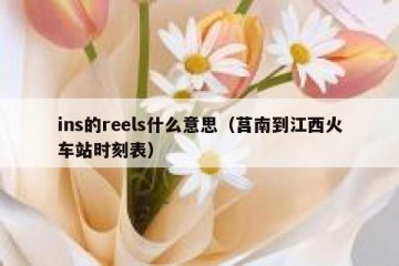 ins的reels什么意思（莒南到江西火车站时刻表）