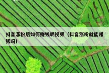抖音涨粉后如何赚钱呢视频（抖音涨粉就能赚钱吗）