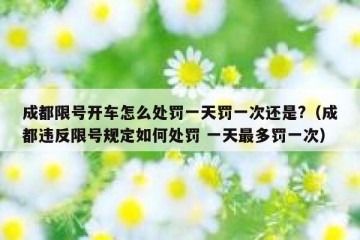 成都限号开车怎么处罚一天罚一次还是?（成都违反限号规定如何处罚 一天最多罚一次）